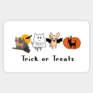 Halloween Chis - Smooth Coat Chihuahuas - Halloween Chihuahua Tee Magnet